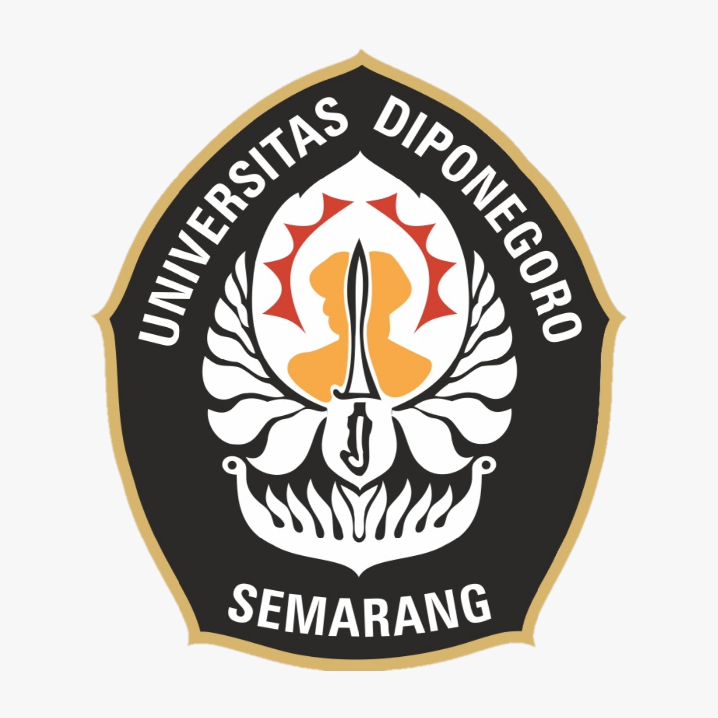 UNDIP
